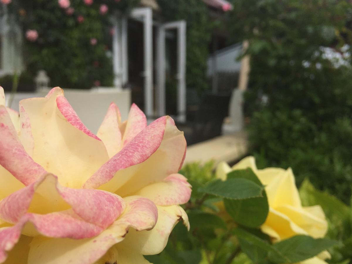 St Kyrans Guest House 버지니아 외부 사진